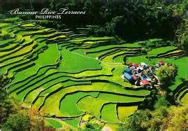 hagdan hagdang palayan clipart|360° View of Banaue Rice Terraces 360 Panorama .